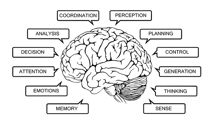 Does brain training work?